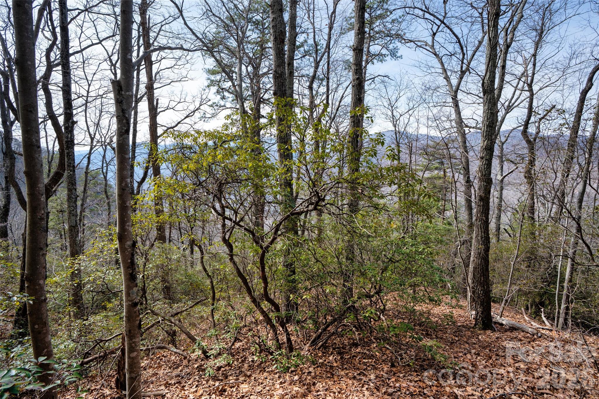 0 Rachel Ridge Lake Lure NC 28746