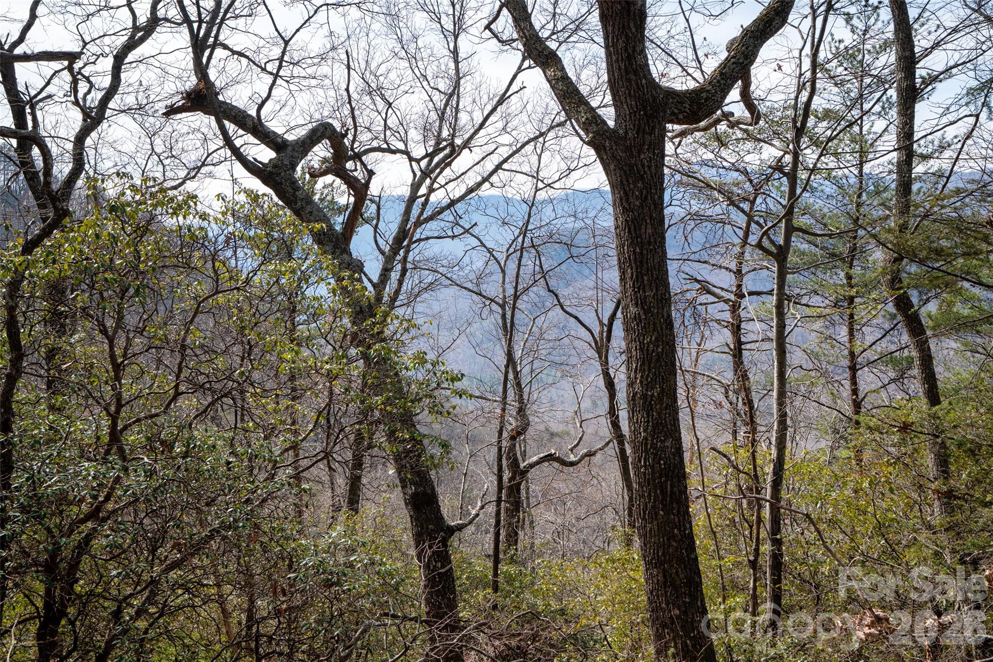 0 Rachel Ridge Lake Lure NC 28746
