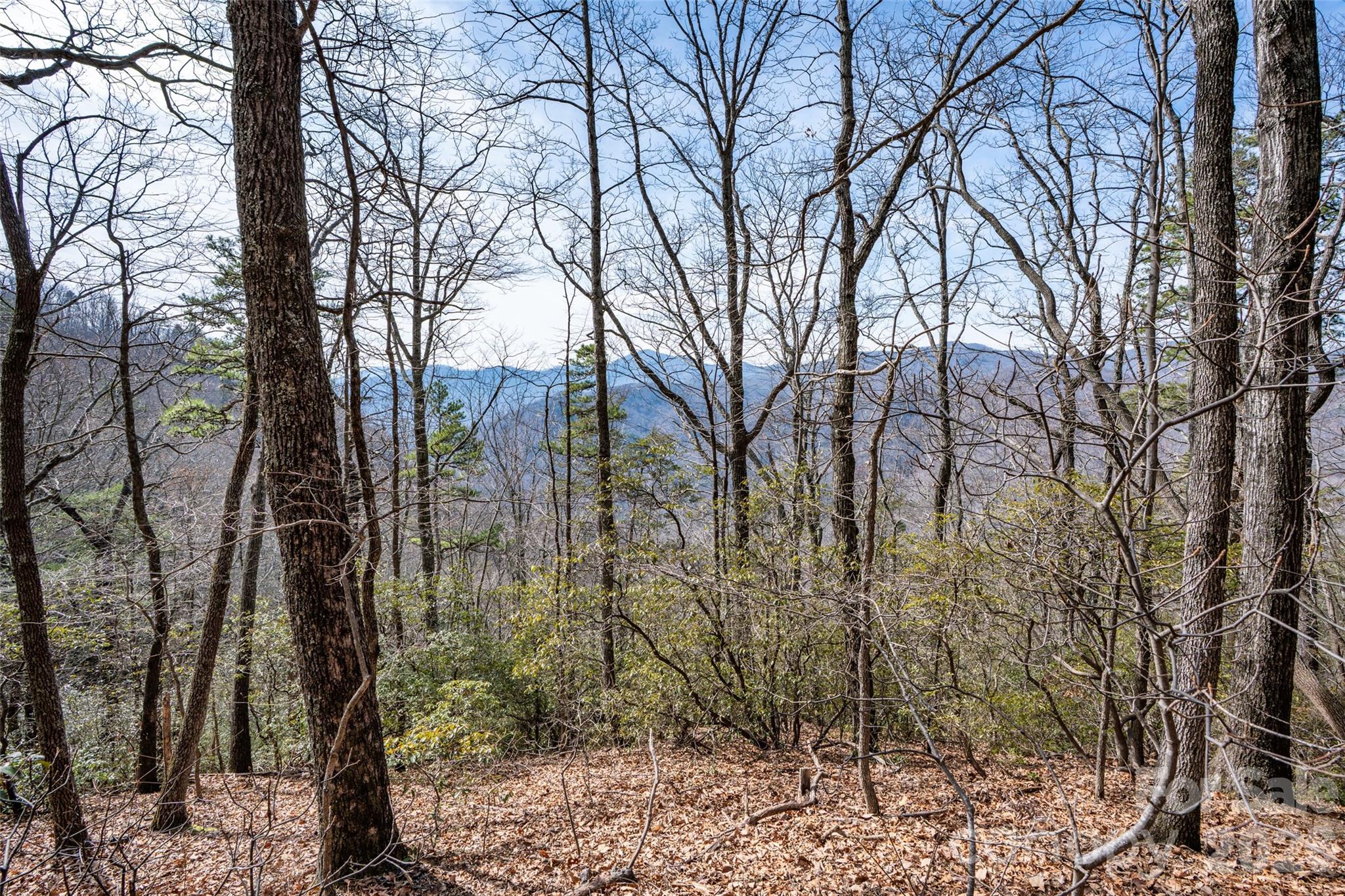 0 Rachel Ridge Lake Lure NC 28746