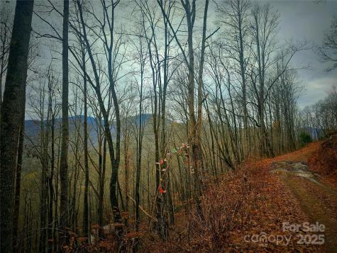 00 Quiet Cove Road Sylva NC 28779