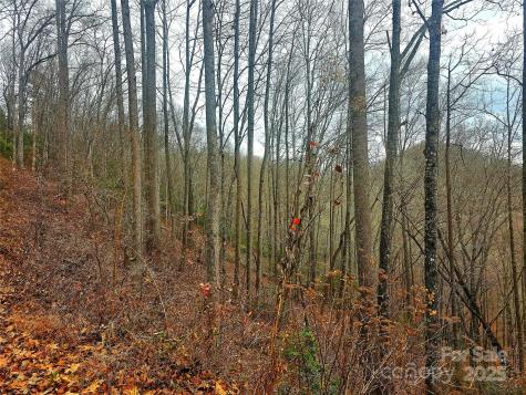 00 Quiet Cove Road Sylva NC 28779