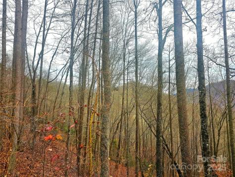 00 Quiet Cove Road Sylva NC 28779