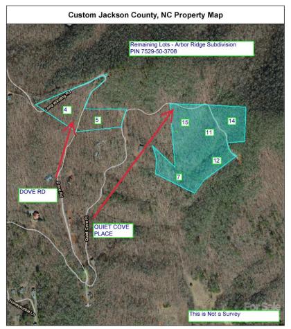 00 Quiet Cove Road Sylva NC 28779