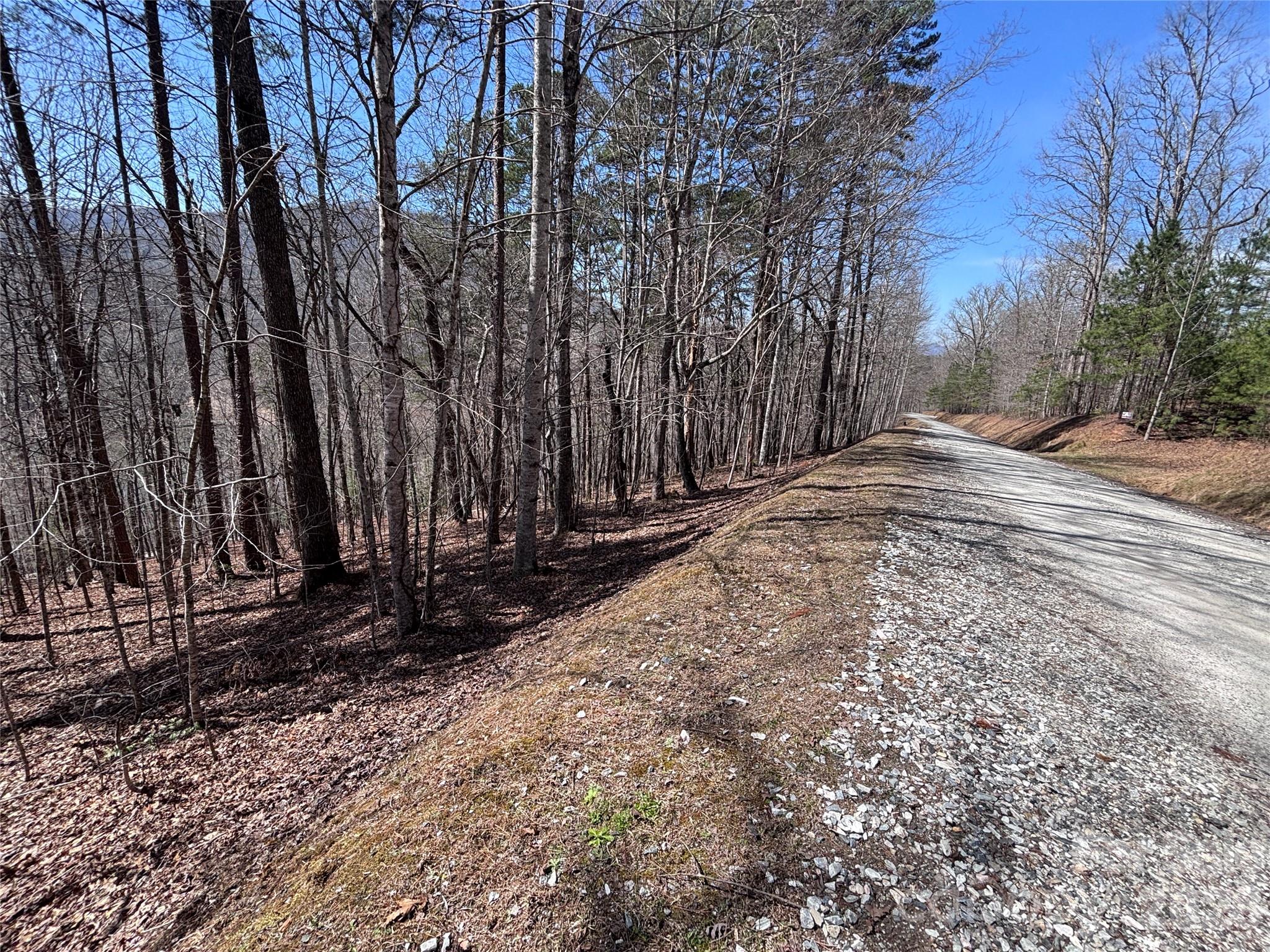 Lot 55-3 Fontana Loop S Bryson City NC 28713