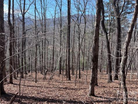 Lot 55-3 Fontana Loop S Bryson City NC 28713