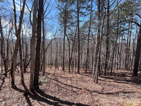 Lot 55-3 Fontana Loop S Bryson City NC 28713