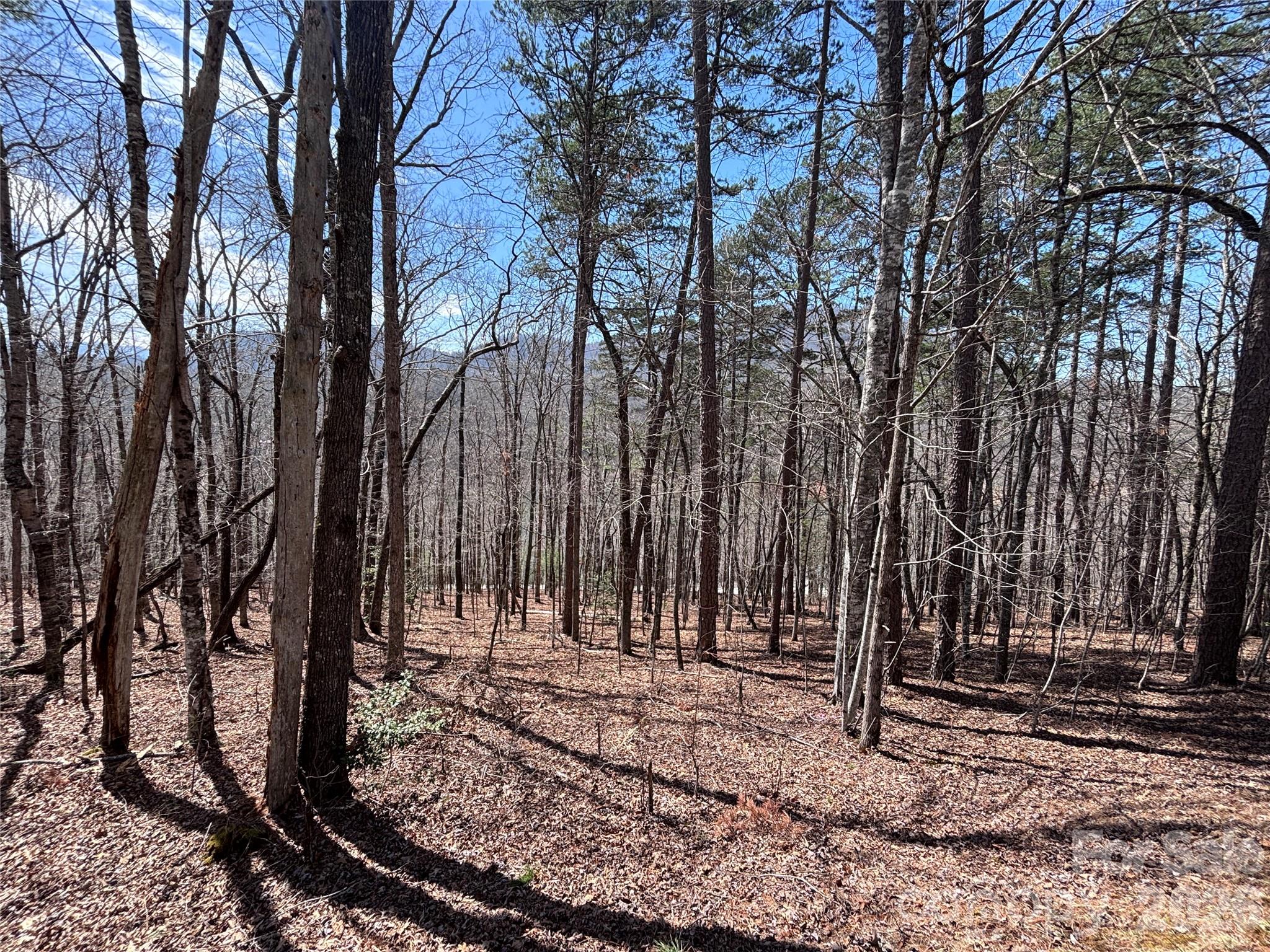 Lot 55-3 Fontana Loop S Bryson City NC 28713
