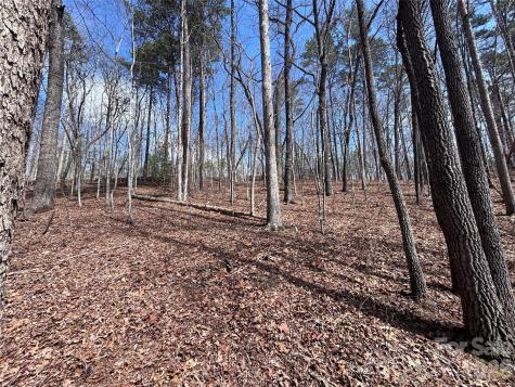 Lot 55-3 Fontana Loop S Bryson City NC 28713