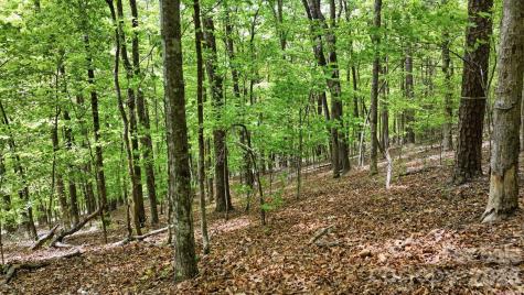 Lot 55-3 Fontana Loop S Bryson City NC 28713