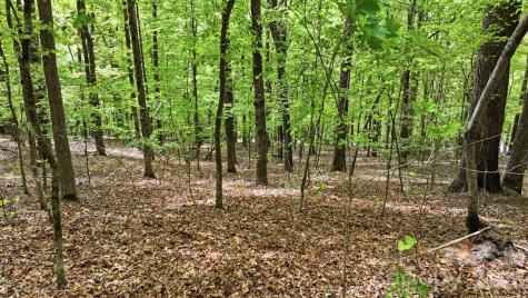 Lot 55-3 Fontana Loop S Bryson City NC 28713