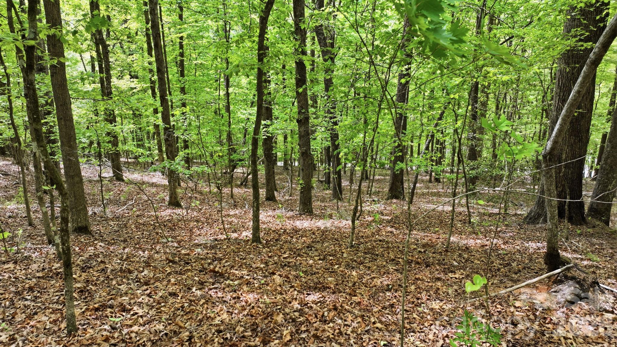 Lot 55-3 Fontana Loop S Bryson City NC 28713