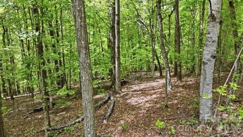 Lot 55-3 Fontana Loop S Bryson City NC 28713