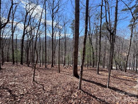 Lot 55-3 Fontana Loop S Bryson City NC 28713