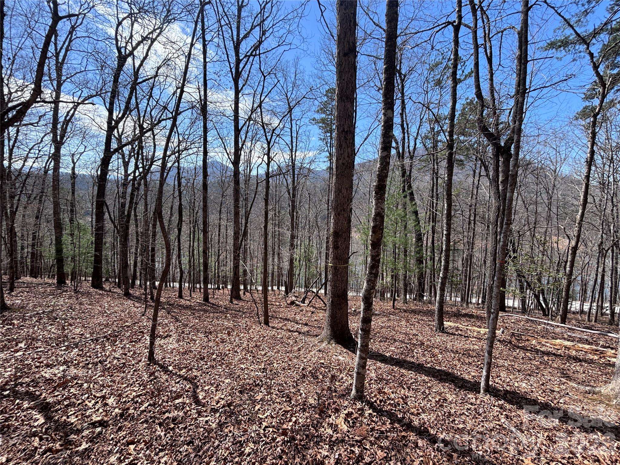 Lot 55-3 Fontana Loop S Bryson City NC 28713