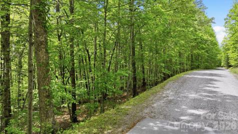 Lot 55-3 Fontana Loop S Bryson City NC 28713