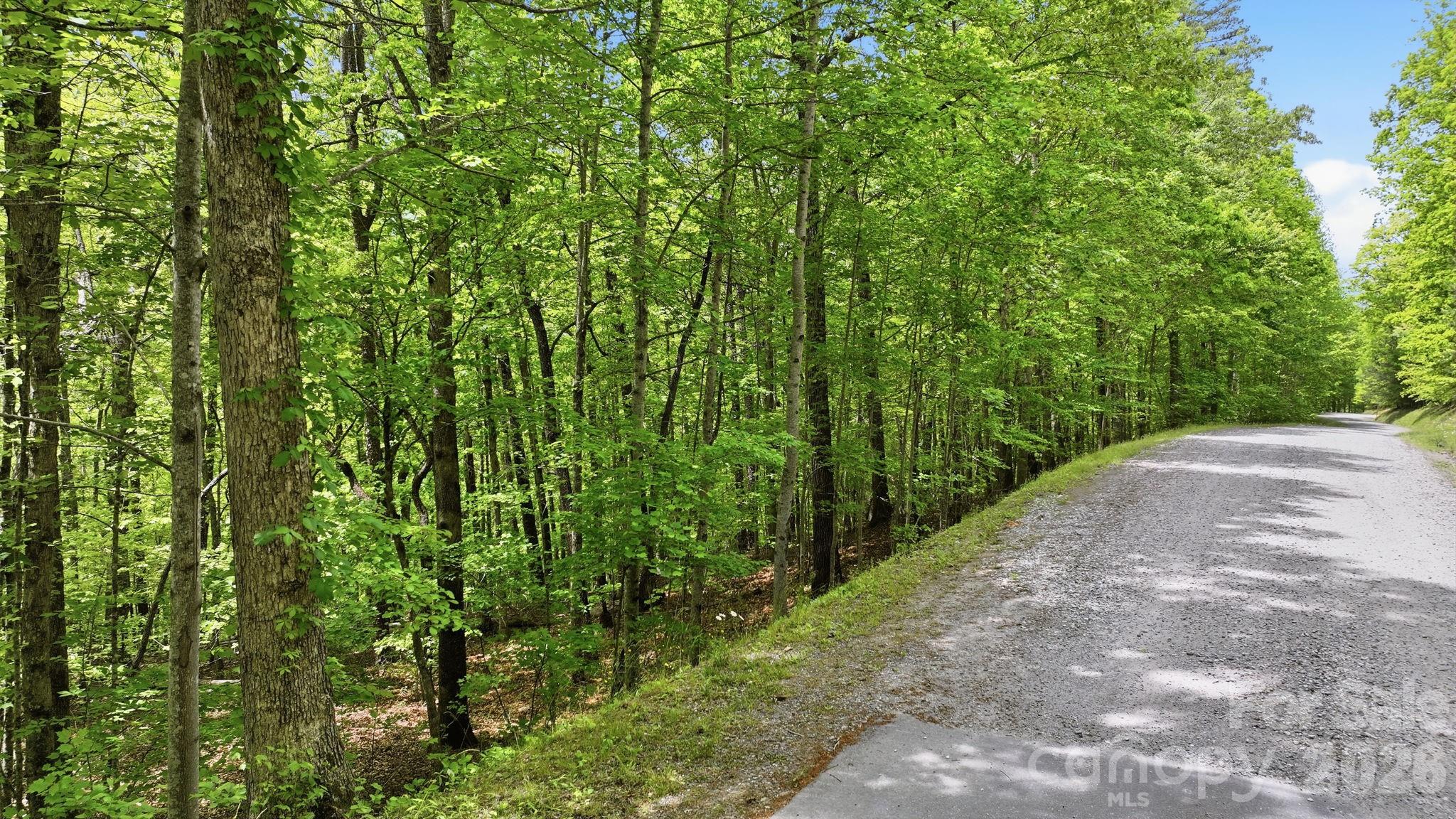 Lot 55-3 Fontana Loop S Bryson City NC 28713