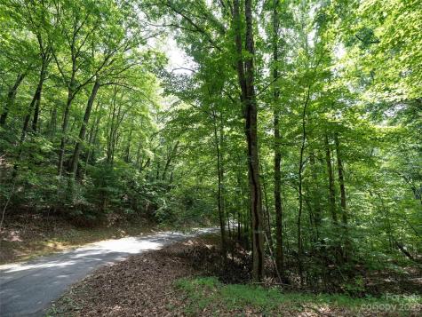 00 Grouse Ridge Road Waynesville NC 28786