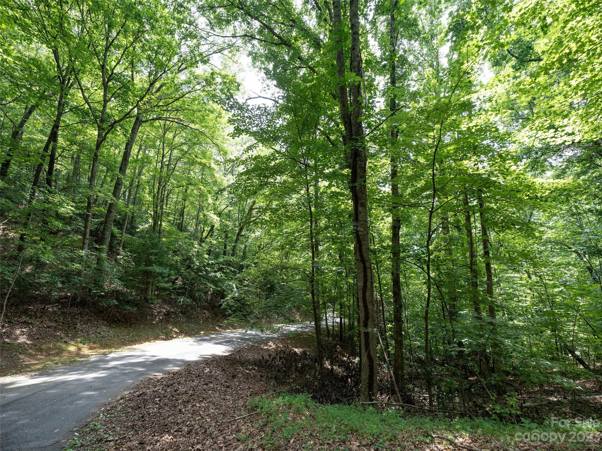 00 Grouse Ridge Road Waynesville NC 28786
