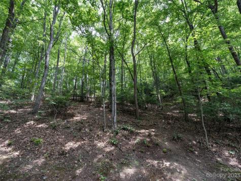 00 Grouse Ridge Road Waynesville NC 28786