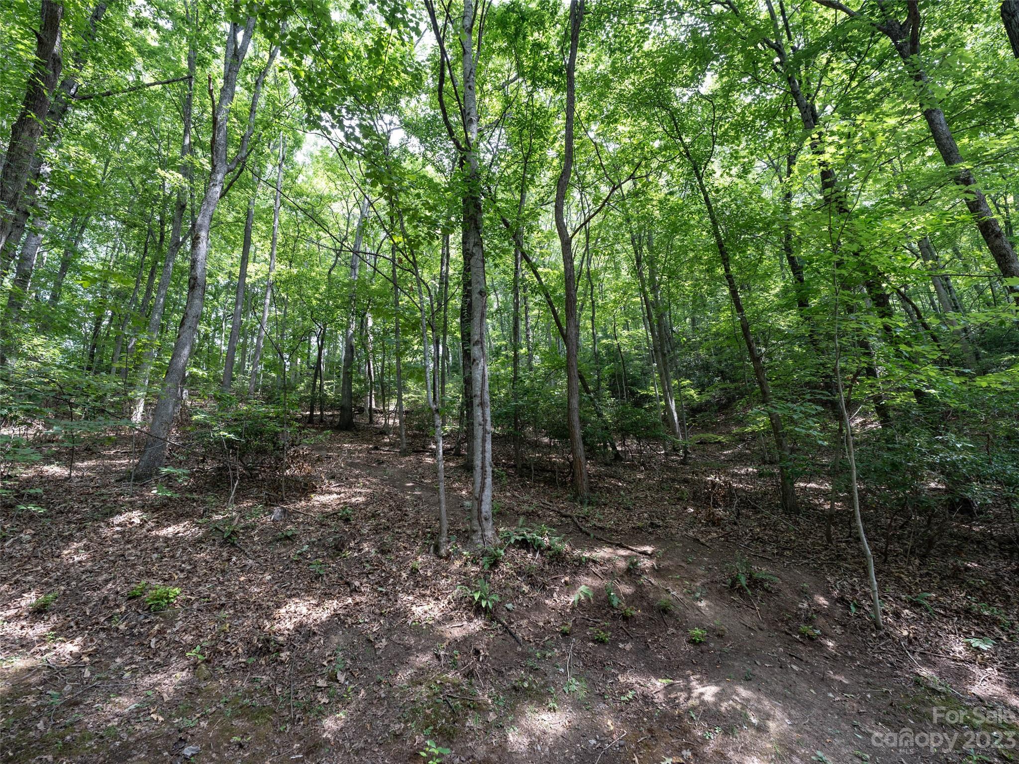 00 Grouse Ridge Road Waynesville NC 28786