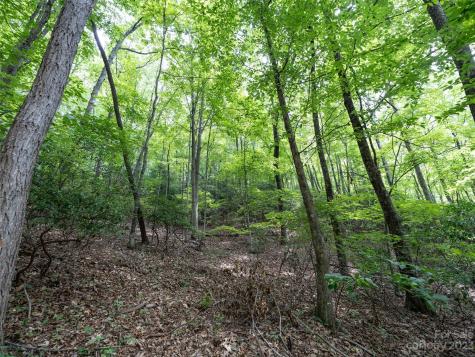 00 Grouse Ridge Road Waynesville NC 28786