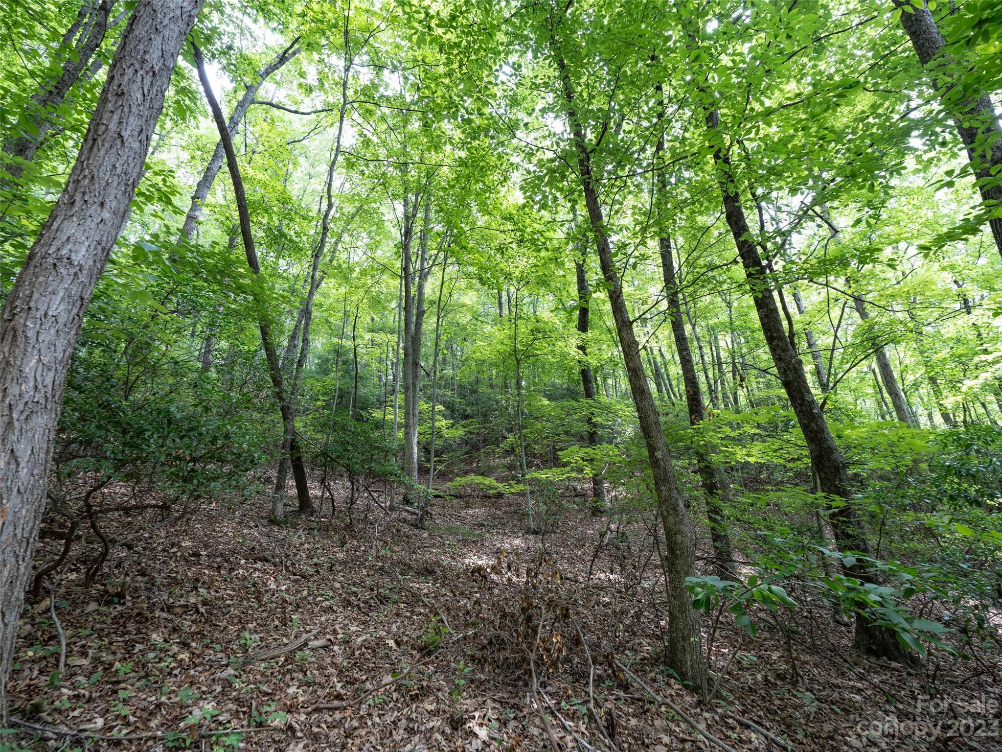 00 Grouse Ridge Road Waynesville NC 28786