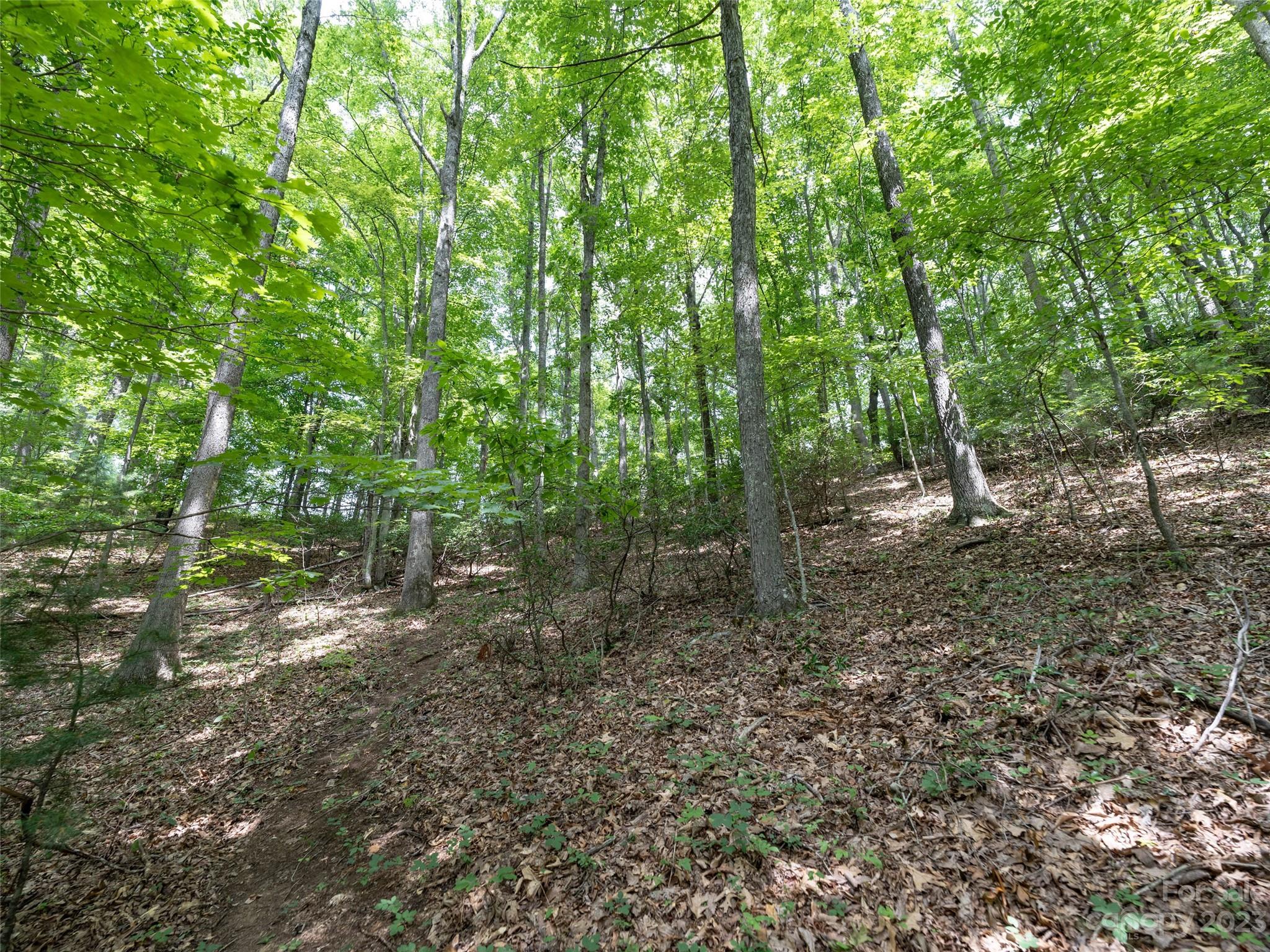00 Grouse Ridge Road Waynesville NC 28786