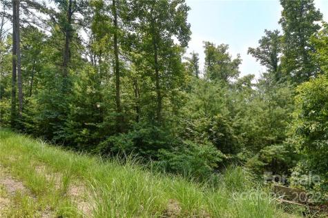 Lot 2 The Vines Boulevard Marshall NC 28753