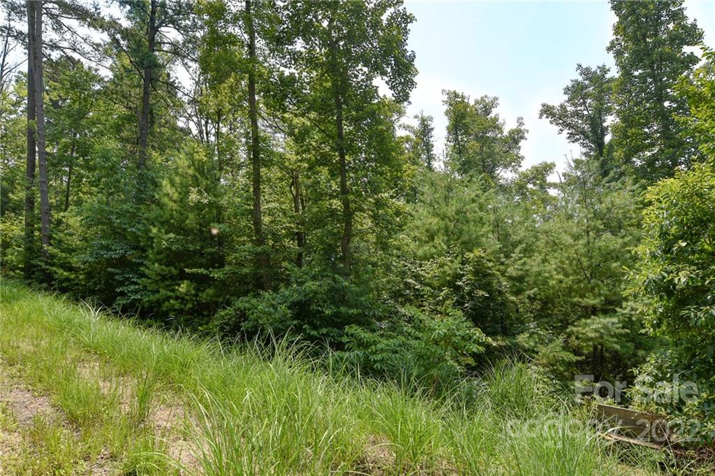 Lot 2 The Vines Boulevard Marshall NC 28753