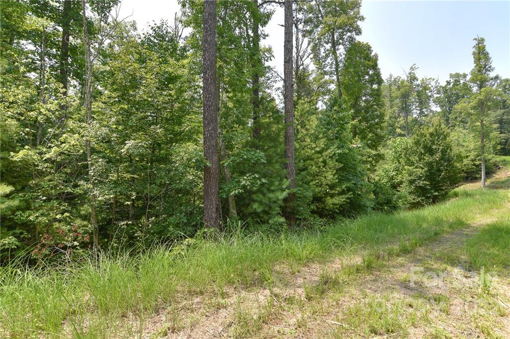 Lot 2 The Vines Boulevard Marshall NC 28753