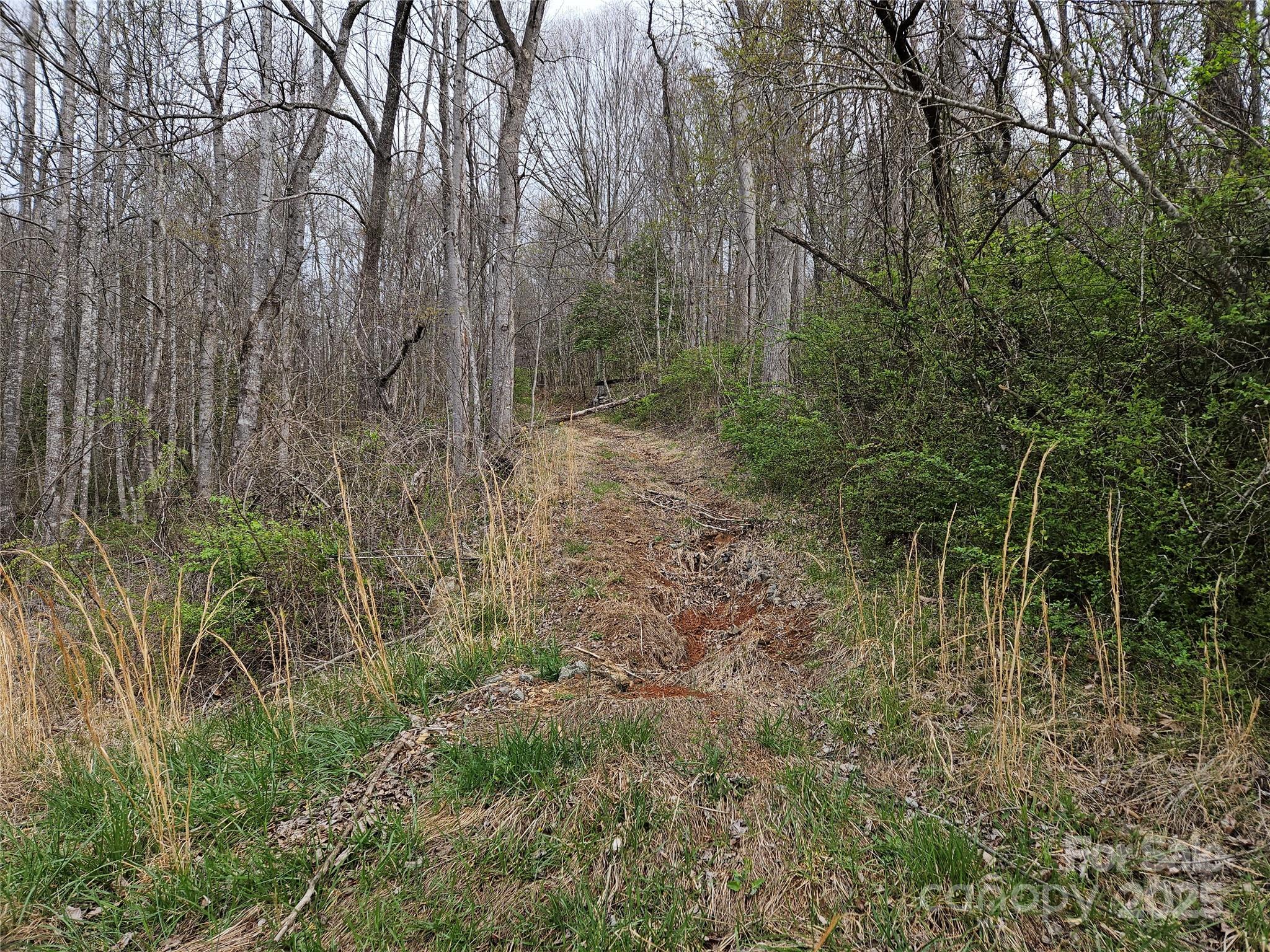 99999 Patton Hill Road Swannanoa NC 28778