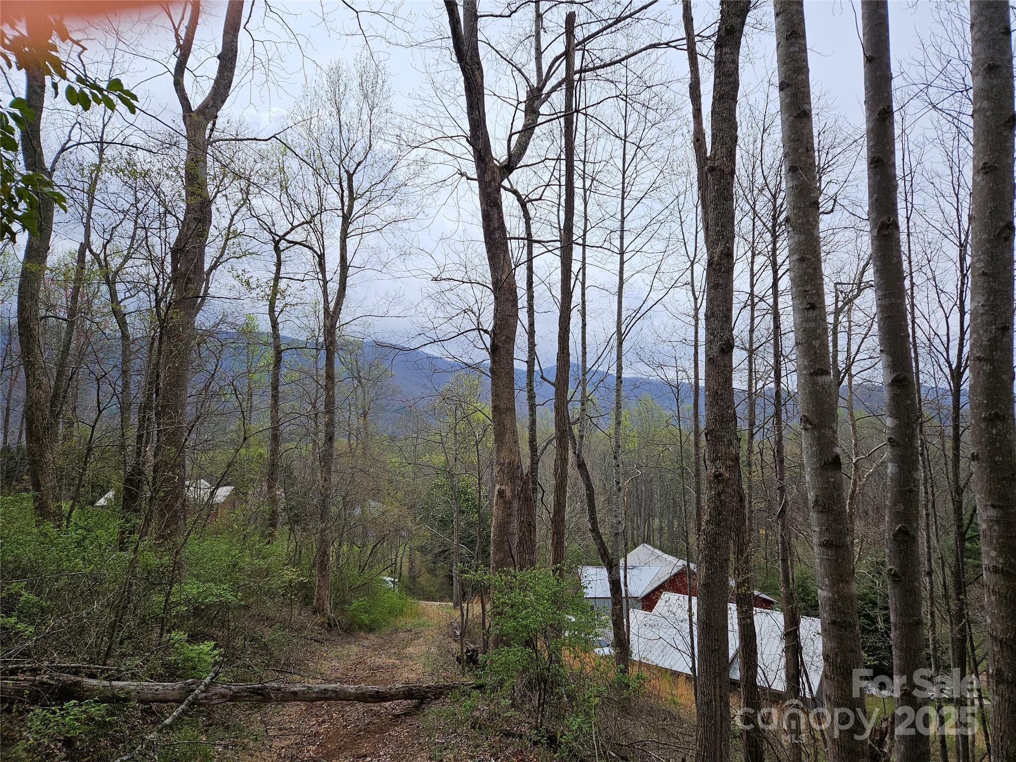99999 Patton Hill Road Swannanoa NC 28778