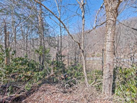 Lot 5 Spruce Flats Road Maggie Valley NC 28751