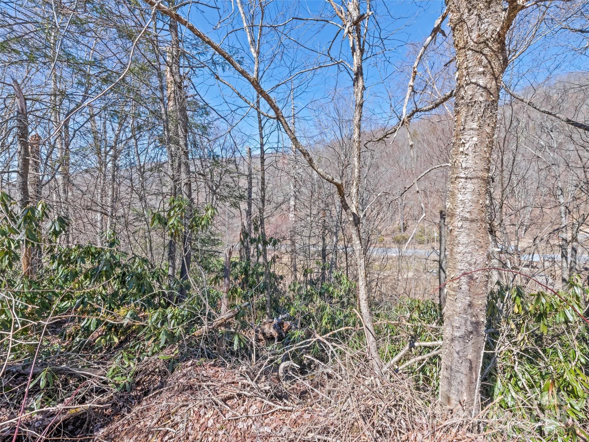 Lot 5 Spruce Flats Road Maggie Valley NC 28751