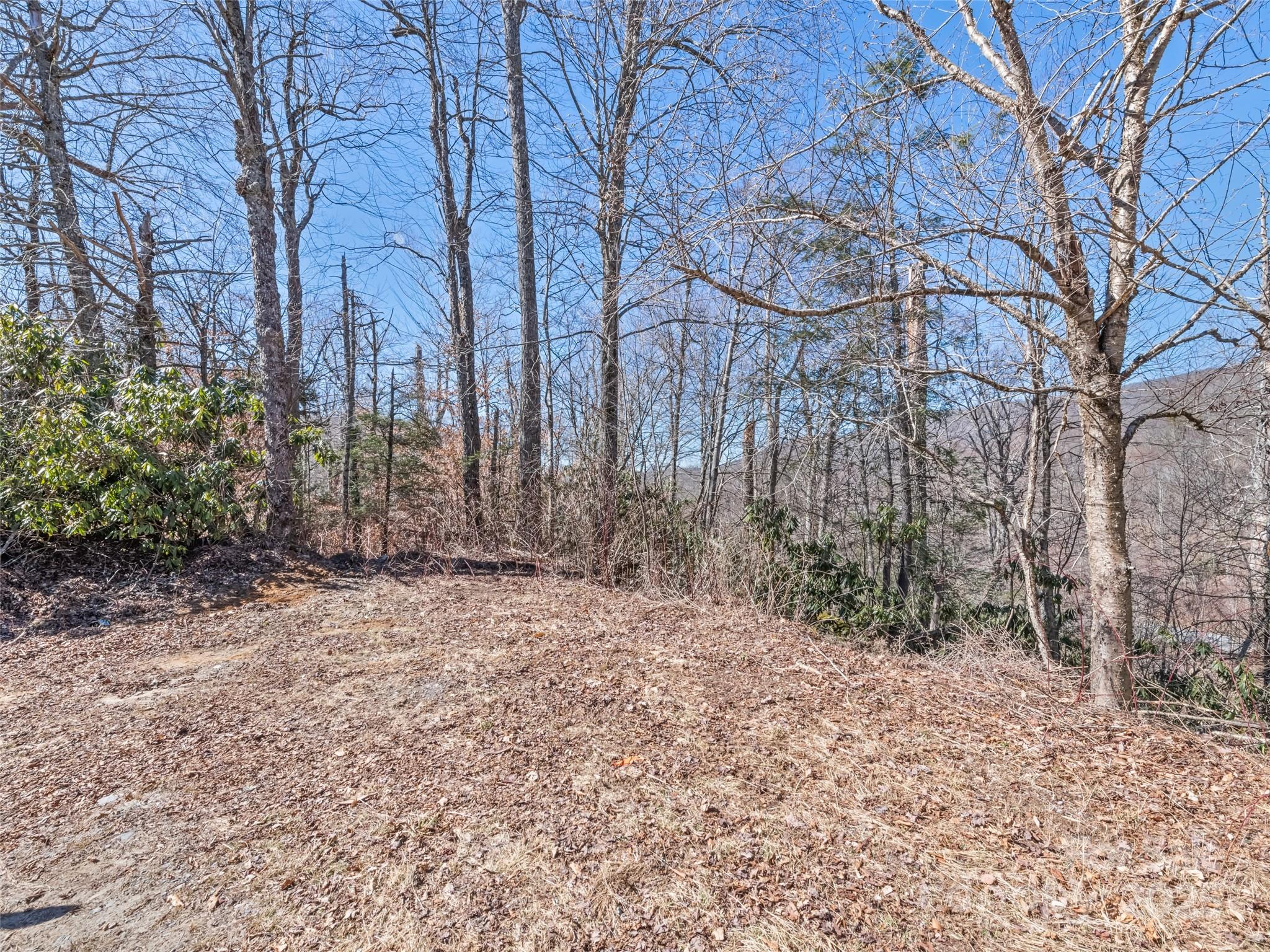 Lot 5 Spruce Flats Road Maggie Valley NC 28751
