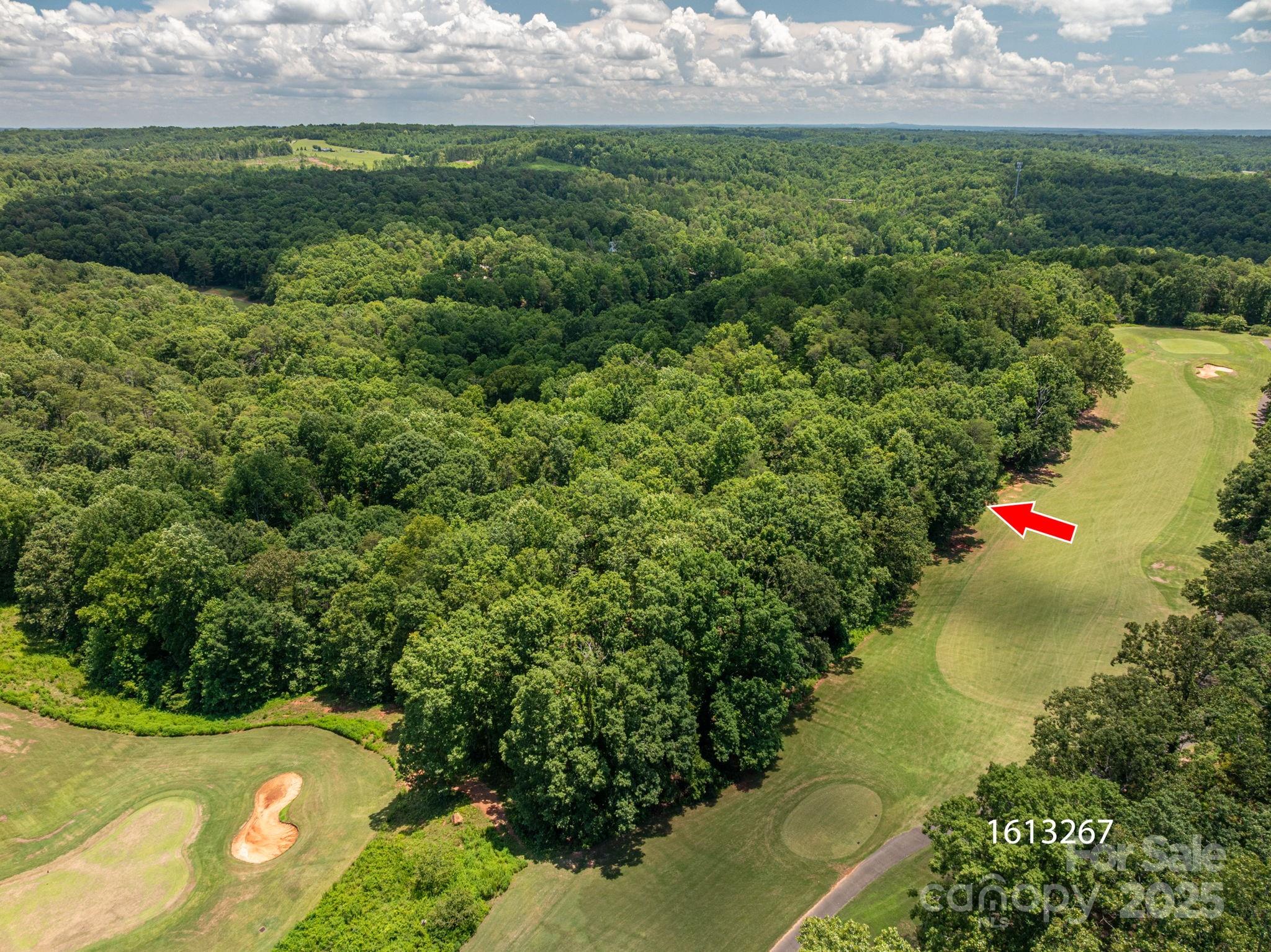 Lot 217 Plantation Drive Rutherfordton NC 28139