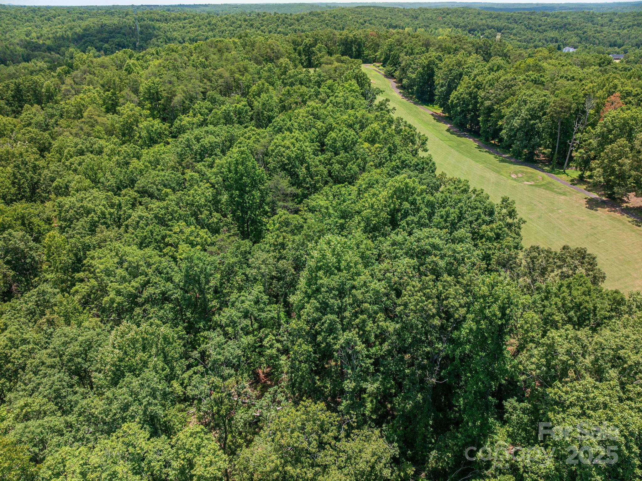 Lot 217 Plantation Drive Rutherfordton NC 28139