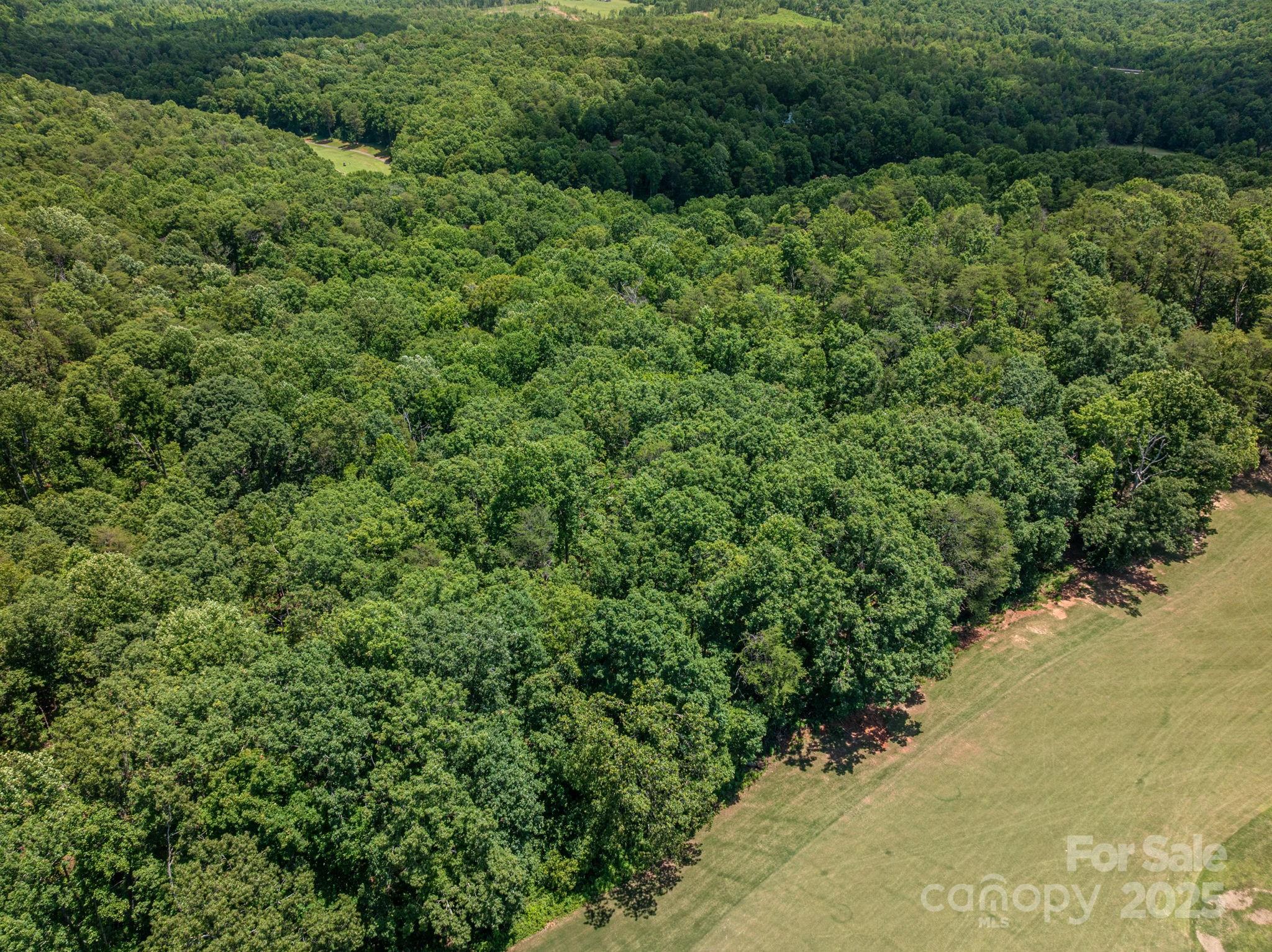 Lot 217 Plantation Drive Rutherfordton NC 28139