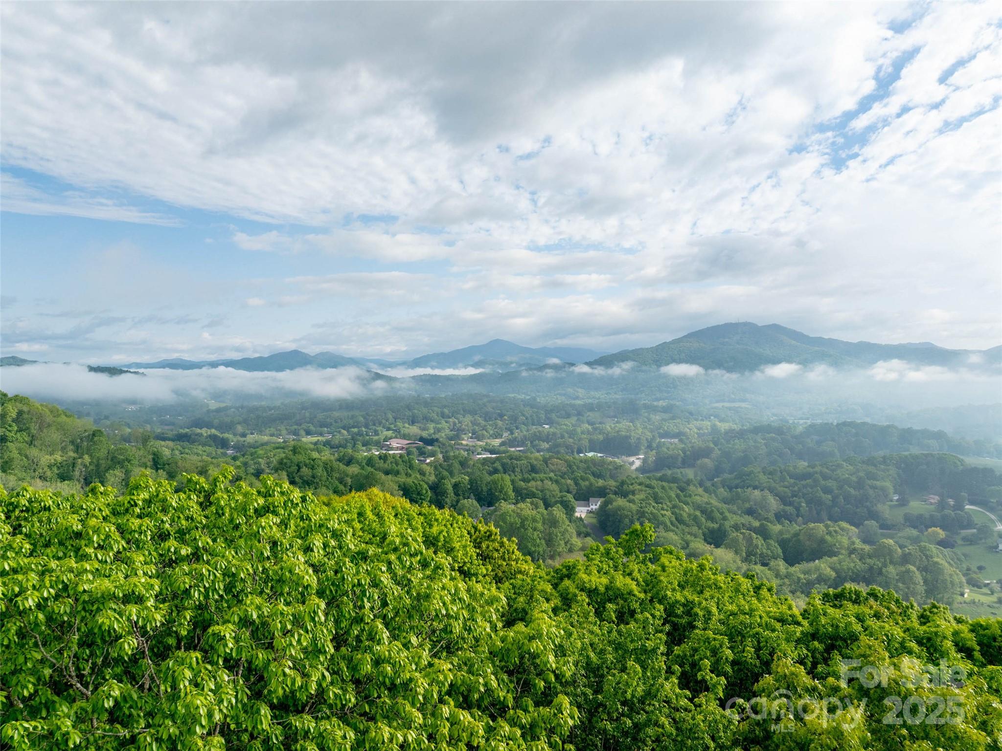 0000 Belmont Drive Clyde NC 28721