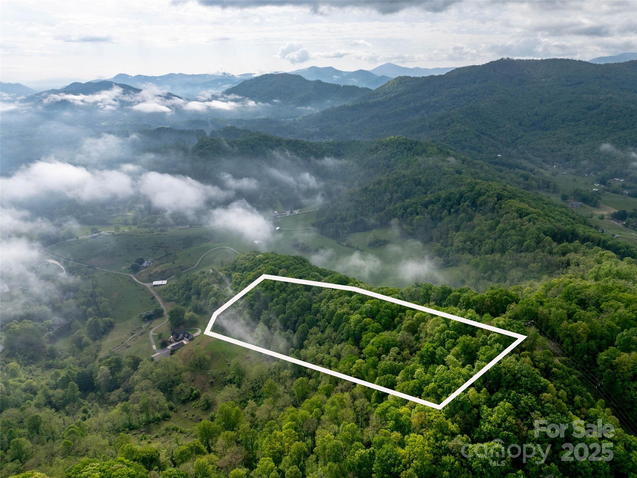 0000 Belmont Drive Clyde NC 28721