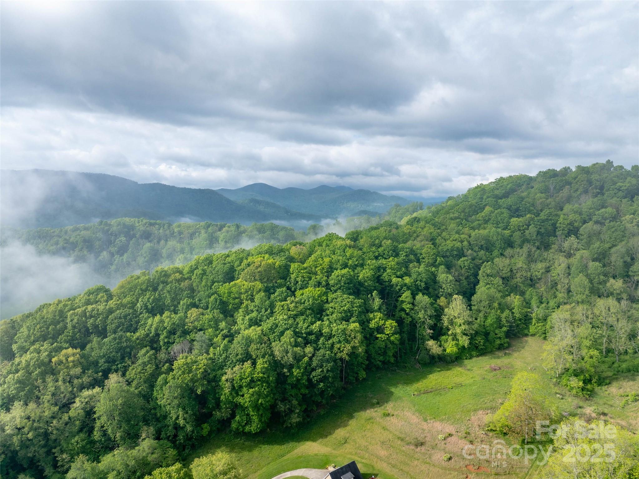 0000 Belmont Drive Clyde NC 28721
