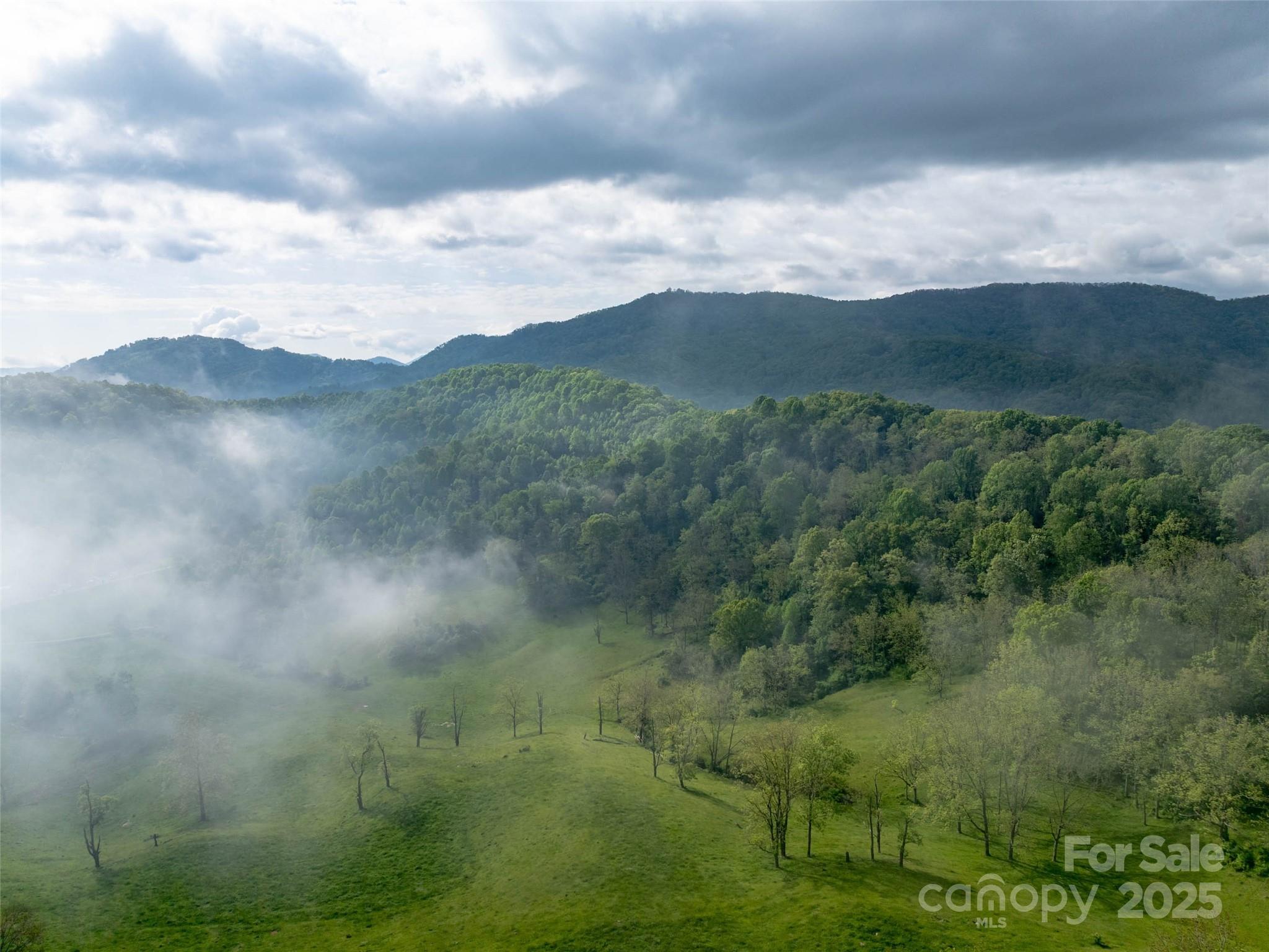 0000 Belmont Drive Clyde NC 28721