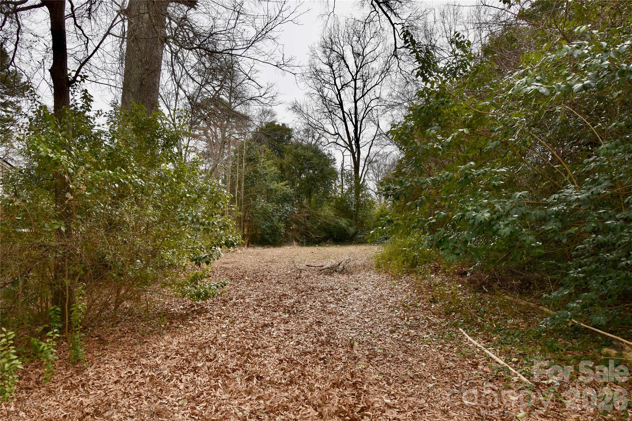 4210 Dinglewood Avenue Charlotte NC 28205