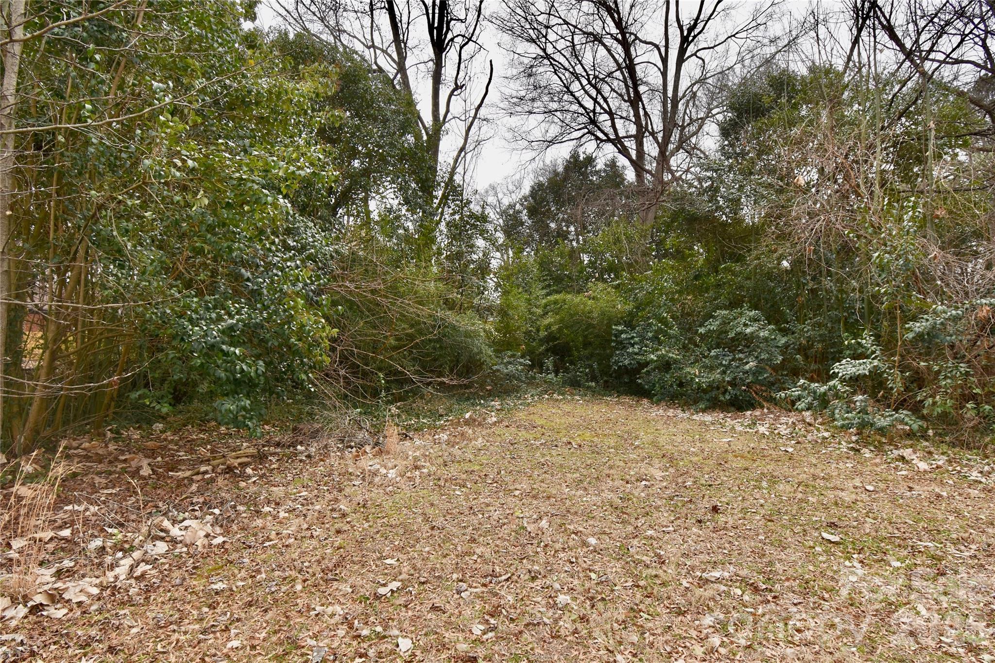 4210 Dinglewood Avenue Charlotte NC 28205