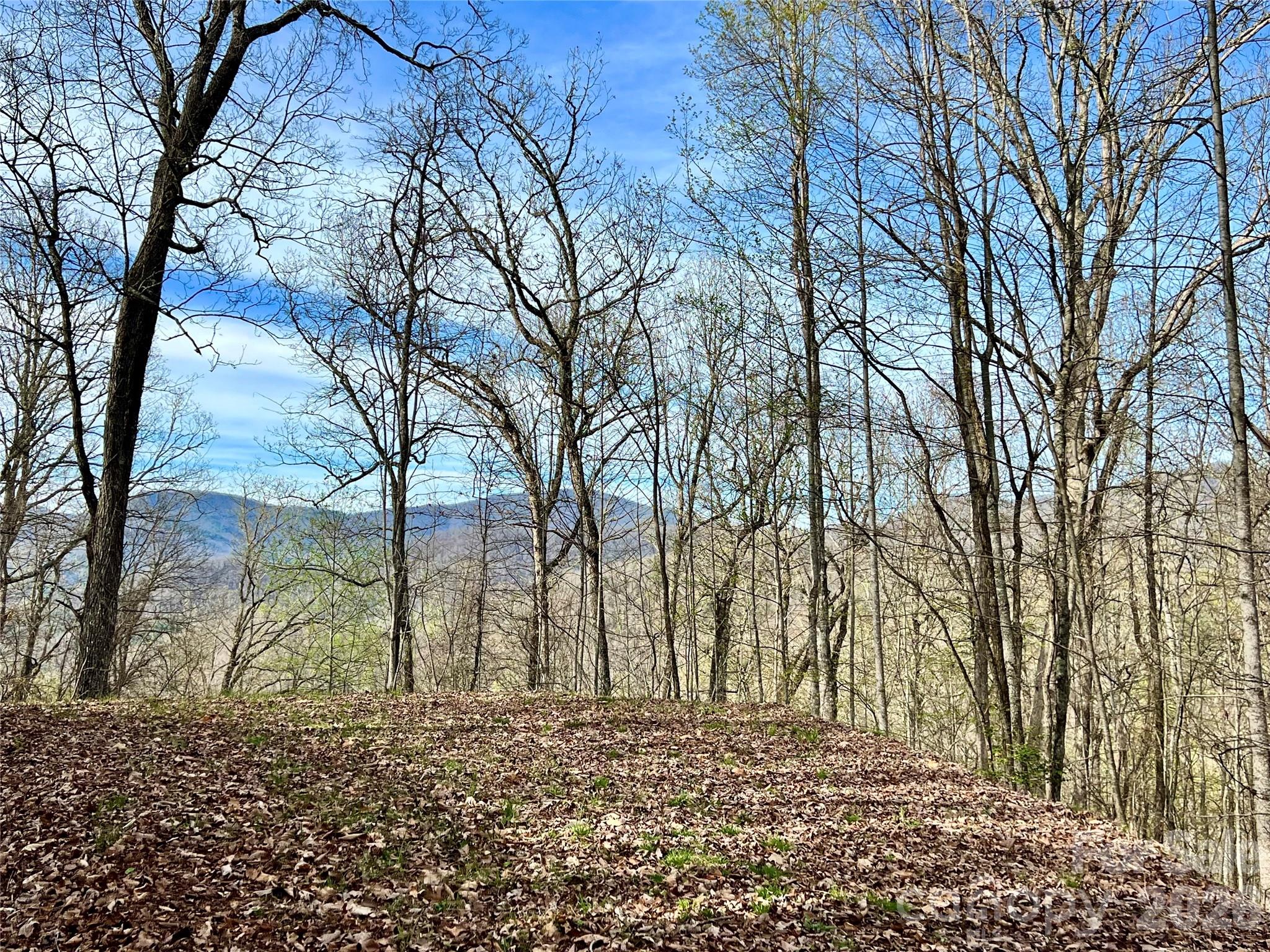 00 Lyle Mountain Trail Franklin NC 28734