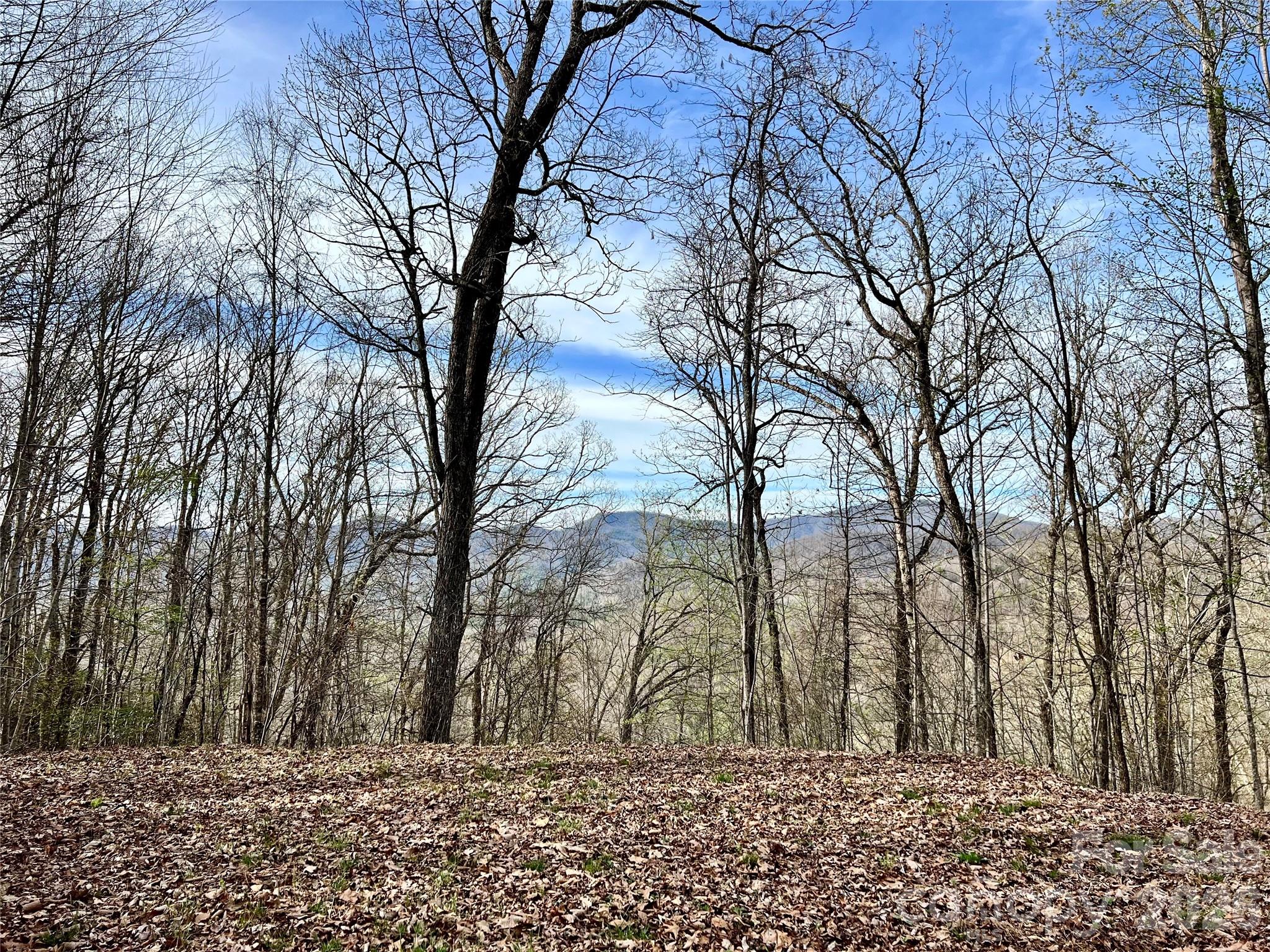 00 Lyle Mountain Trail Franklin NC 28734