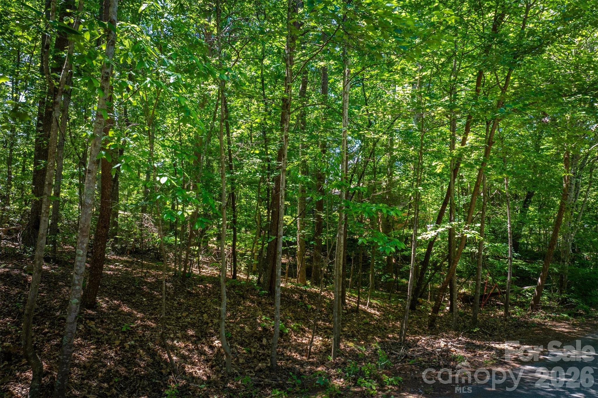 3835 Oak Drive Valdese NC 28690