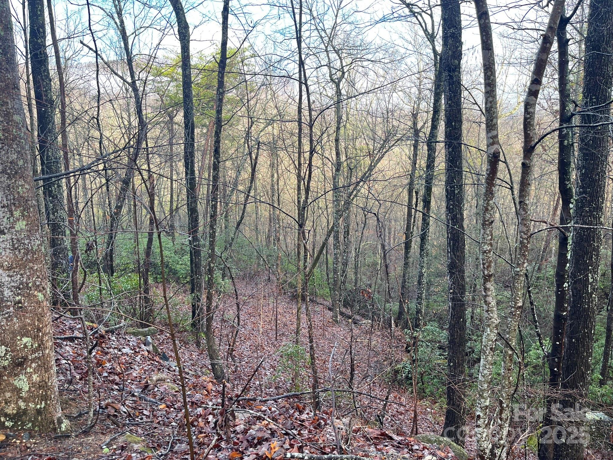 00 Ridgecrest Drive Lake Lure NC 28746