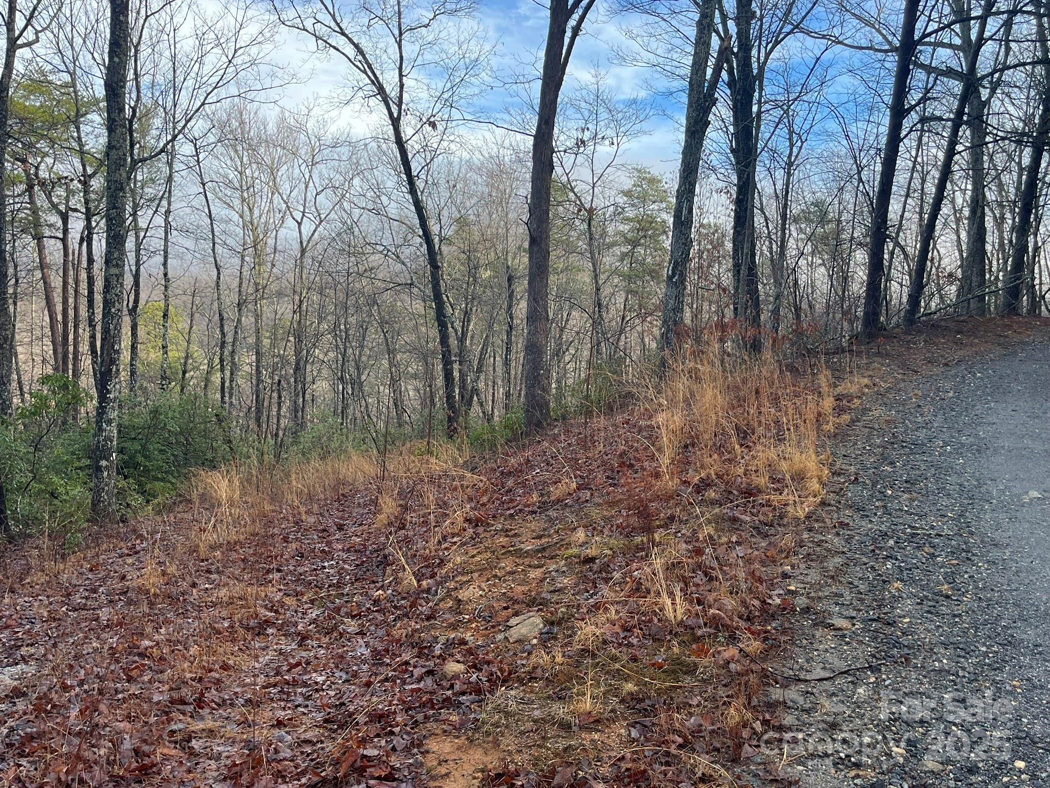 00 Ridgecrest Drive Lake Lure NC 28746