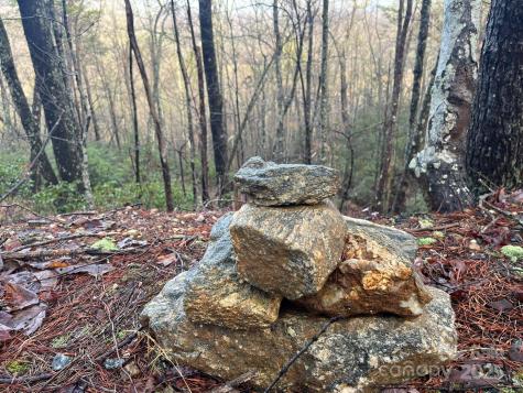 00 Ridgecrest Drive Lake Lure NC 28746